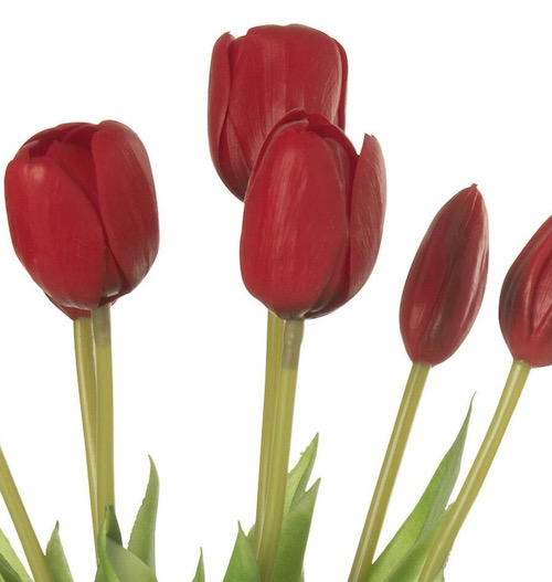 Zaterdag 21 maart 2026 organiseert Bridgeclub Heino de vierde Tulpen Drive.